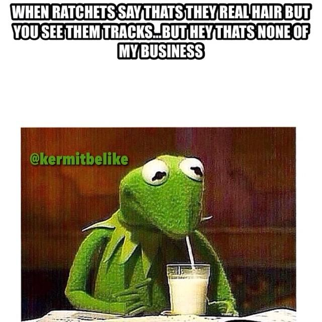 Meme - Kermit But That's None of My Business